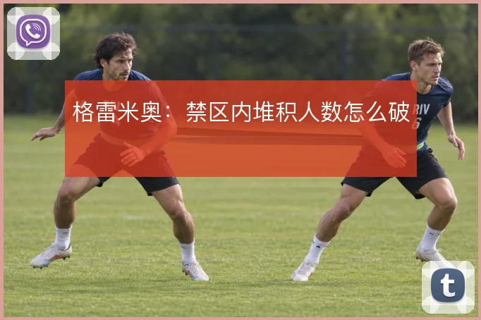 格雷米奥：禁区内堆积人数怎么破