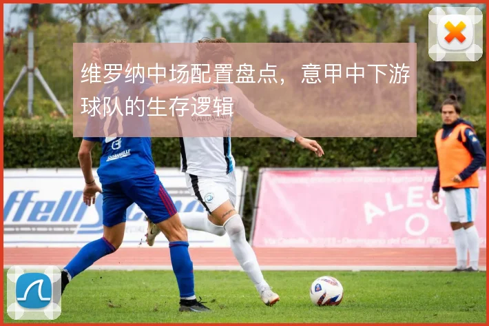 维罗纳中场配置盘点，意甲中下游球队的生存逻辑