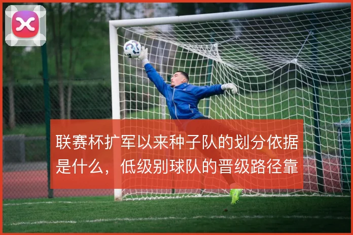 联赛杯扩军以来种子队的划分依据是什么,低级别球队的晋级路径靠什么撑住