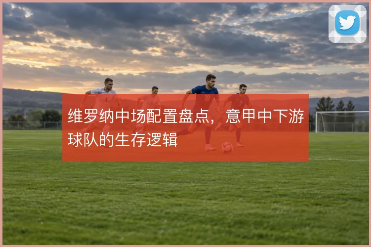 维罗纳中场配置盘点，意甲中下游球队的生存逻辑