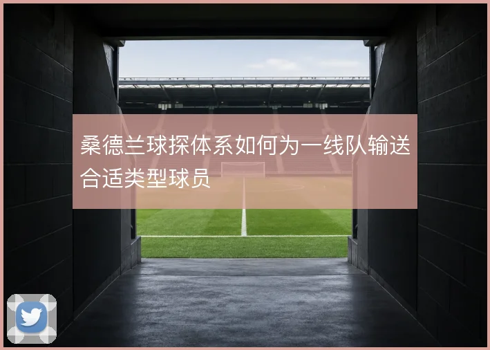 桑德兰球探体系如何为一线队输送合适类型球员