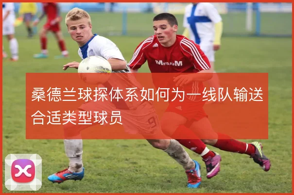 桑德兰球探体系如何为一线队输送合适类型球员